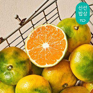 [품질보장]제주 노지 감귤 5kg 로얄엄선(S/M)/감귤 실중량