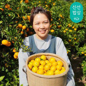 [제주수확] 작을수록 맛있는 제주 감귤 노지 감귤 2L 대과 5kg