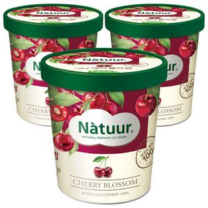 [슈팅냉동] 롯데웰푸드 나뚜루 체리블라썸 파인트, 474ml, 3개
