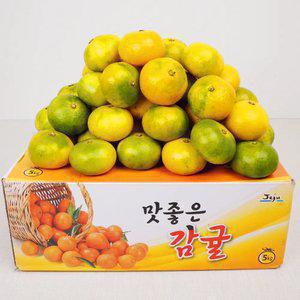 서귀포 당도측정 노지 극조생감귤 4.5kg(S-M)/로얄과