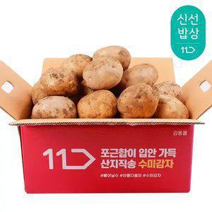 [품질보장] 25년산 햇 감자 왕특 5kg