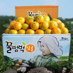 2025년 첫수확! 달콤새콤 진한 맛의 꿀범벅 타이벡감귤 4.5kg 9kg대용량