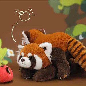 리얼한 레서판다 인형 래서 랫서 팬더 애착인형