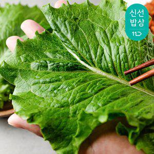 [최종혜택가7,820원]국내산 GAP인증 청상추 500g/2개구매시 3000원 추가 할인