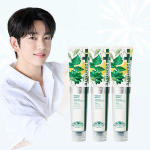덴티스테 시트러스 후레쉬 치약 200g 3개