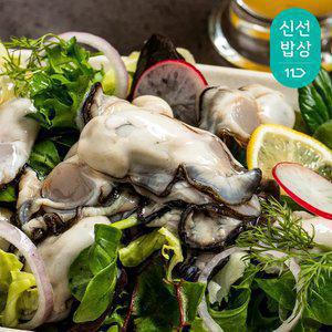 [품질보장] 통영산 최상급 통통생굴 2kg / 드디어 햇굴 첫 출하!