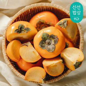 [품질보장] 아삭아삭 제철 햇 단감 부유단감 중과 2.5kg 5kg