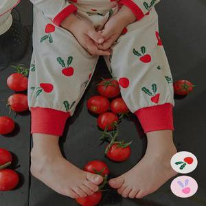 하트래디쉬(25FW)