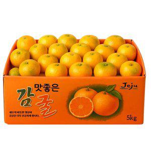 [신선행사] 제주 농장 극조생 노지감귤 5kg 10kg