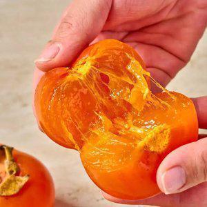 씨 없는 감, 달콤한 청도 반시 5kg 중대과 (36-40과)