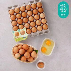 [품질보장] 난각번호1번 방사 유정란 60구