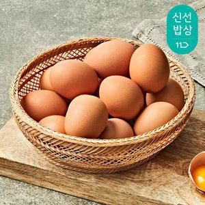 [최종혜택가9,900원] 무항생제 난각번호 1번 자연방목 유정란 20구