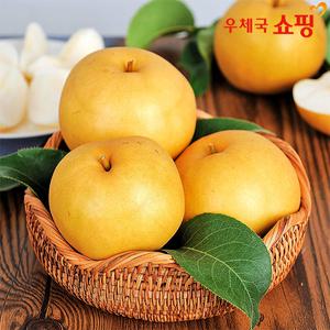 [우체국쇼핑] 안영일님 25년 햇 나주배 가정용 3kg 5kg