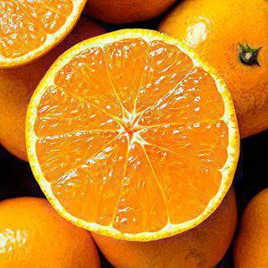 [신선보장] 제주 서귀포 노지감귤 4.5kg 중대과(L-2L)