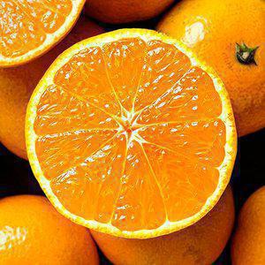 제주 서귀포 노지감귤 9kg 중대과(L-2L)