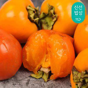 [과일꾼] 영암 대봉감 홍시 곶감용 5kg 중과 20과내