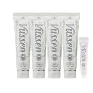 뷰센 H 프리미엄치약 120g 4개+40g