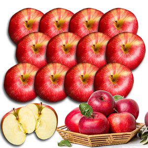 고당도 감홍사과 가정용 중과 3kg못난이 사과 흠집 꿀 청송 문경 감흥