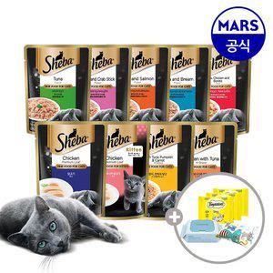 쉬바 파우치 24개 골라담기+캣닢쿠션+베베숲물티슈+템테이션12gx3개