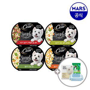 시저 심플리 크래프티드 15개골라담기+아이엠즈+배변패드+베베숲물티슈