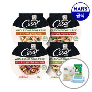 시저 홀썸볼 10개골라담기+아이엠즈+배변패드+물티슈