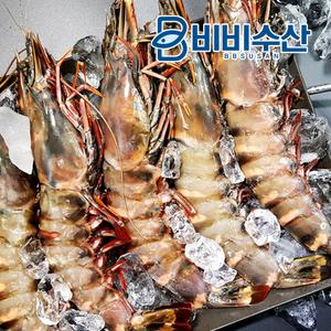 특A급 블랙타이거새우 (500g) 8미