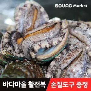 [바다마을] 완도 활 전복 1kg 8~9미 고급선물용 왕특대 산소포장(+세척 솔)