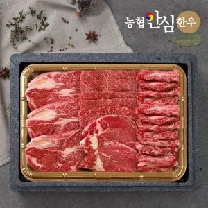 갤러리아 [농협안심한우] 1등급 채반 구이가득세트1kg (등심+안심+살치살+갈