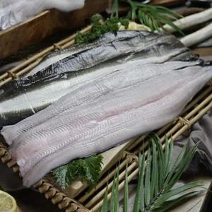고창 풍천 장어 자포니카 무태 400/500/600/700g 소금 양념구이
