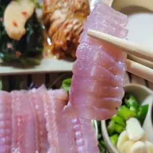 비제이마켓 전남 흑산도 홍어 1KG 약한숙성 국내산흑산도홍어