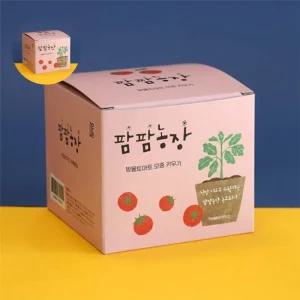 (제스트)식물키트 팜팜농장 어린이집 모종키우기 방울토마토