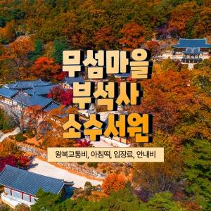 [경북] 영주 무섬마을/은행잎이 아름다운 부석사/소수서원 당일여행