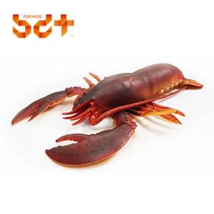 유치원 가재 갑각류 촉감 모형 장난감 키덜트 완구 프라모델 수집 수집피규어 놀이