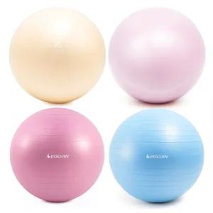 이고진 짐볼 65cm 요가 필라테스 임산부 안티버스트 스트레칭