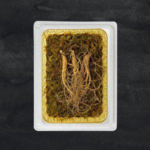 [명가일품]정품 프리미엄 산양삼 장뇌삼 10-12년근/3뿌리