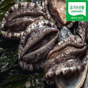 [청해포구]친환경인증 유기수산 전복 대 10-12미 1KG