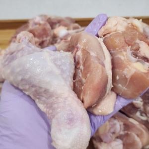 닭정육 절단 닭다리 닭다리살 2kg