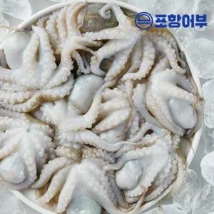 [포항어부] 세척완료 냉동 쭈꾸미 (1kgx2) 2kg (60미 내외)