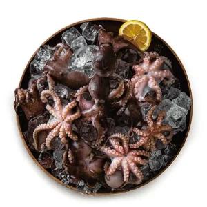 자연산 손질 통 주꾸미 500gX6팩(총 3kg)