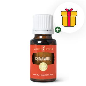 영리빙 시더우드 에센셜오일 15ml 글로벌넘버원 에센셜오일 선물팡팡 