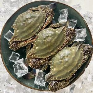 제철 활 꽃게 2kg 가을 봄 햇 숫꽃게 서해안 산지 속 꽉찬 꽃개 3kg