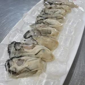 생굴 1kg 통영산