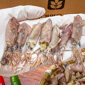 농가살리기 국내산 자연건조 통영 건꼴뚜기 500g (마리당 2-5cm 내외)