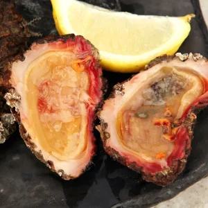 [바다담음] 통영 돌멍게(자연산) 1kg(5~8미)