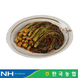 [보리보리/더자연]한국농협 마이산김치 국내산 갓김치 1kg