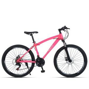 산악 야외 빠른 브레이크 MTB 알루미늄 성인 보호대 프레임 엔드 입문용 자전거