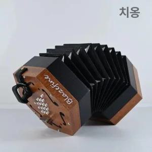 반도네온 초보자용 교육 취미생활 초보