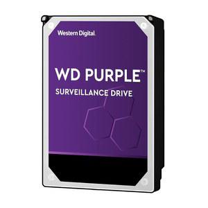웨스턴 디지털 10TB WD 퍼플 감시 내장 하드 드라이브 - SATA 6Gb/s, , 256MB 캐시, 3.5인치 WD101PURZ(구 버전)