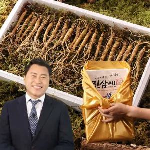 진삼애 강원도 산양삼 김성태 5~6년근 20뿌리 무농약 금보자기 선물세트