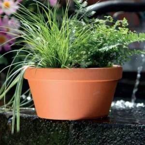 분재 화분 황토색 도자기 D22x11cm 독일산 낮은 D22x11 장식 분재화분 황토색